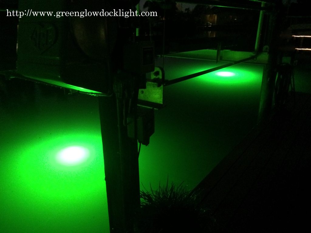 Light up your Dock and Seawall with our Underwater Fish Lights BoatNation