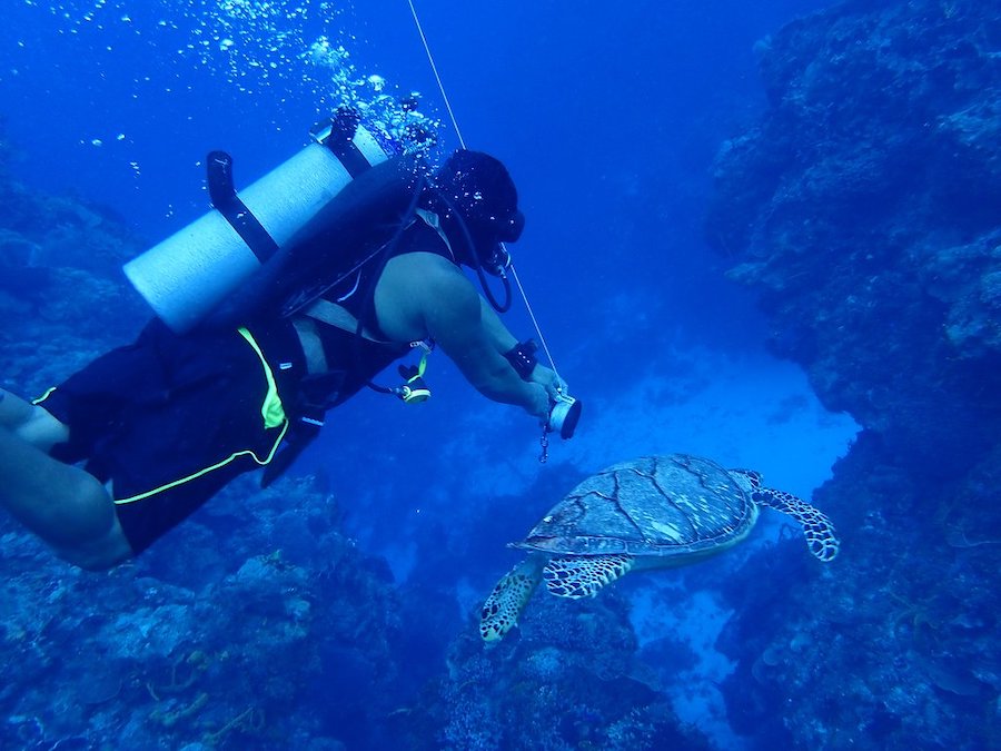 Dive with Martin BoatNation