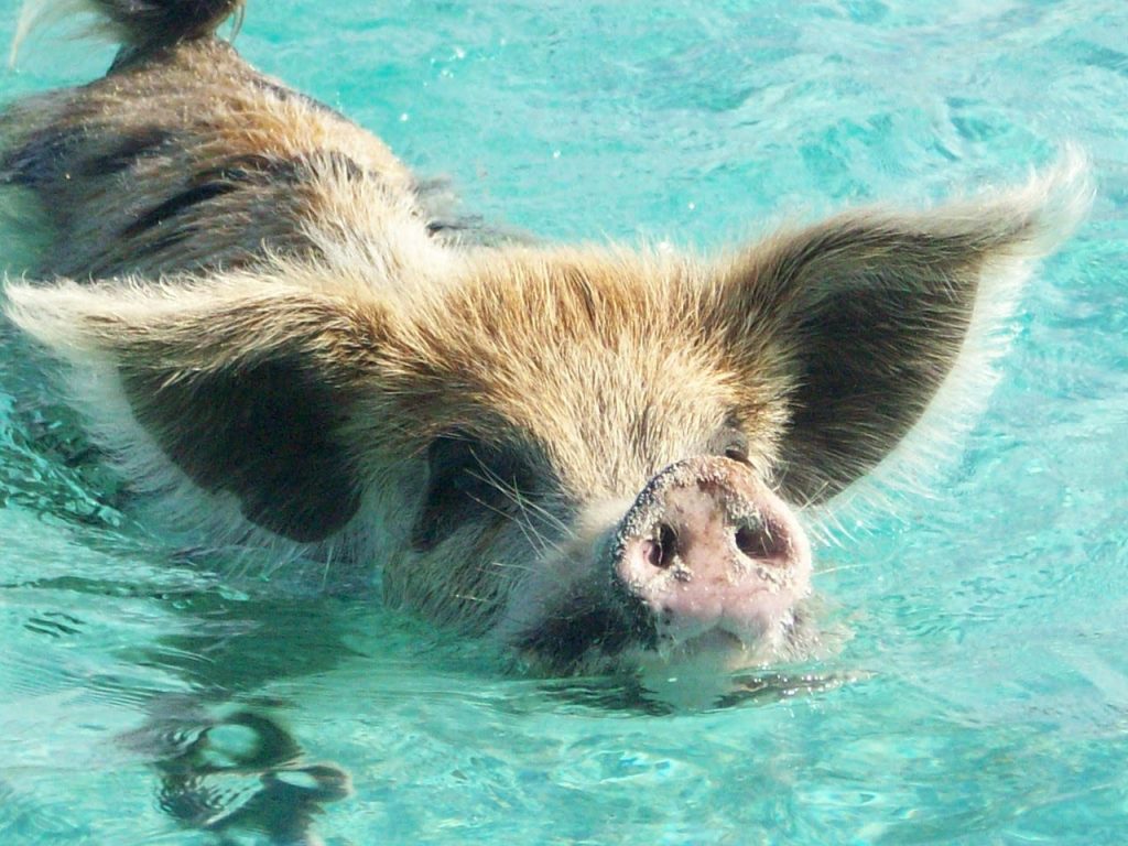 BARNEGAT BAY YACHT BROKERAGE BoatNation